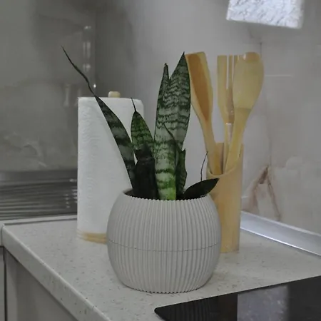 Affittacamere Timber